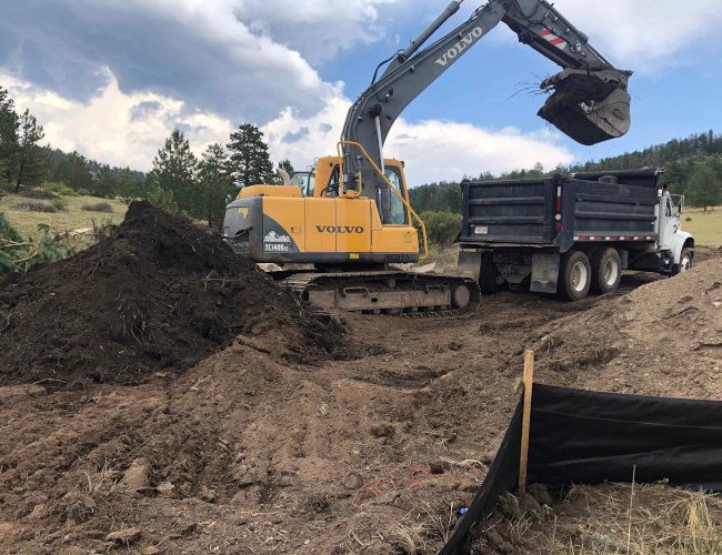 Foundations & Basements